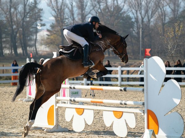 Les bienfaits de la créatine pour votre performance sportive